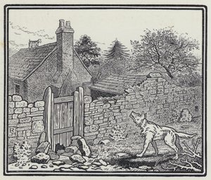 De wolf en het lam