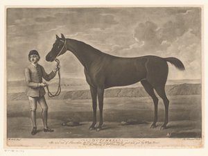 Racepaard met jockey door Richard Houston