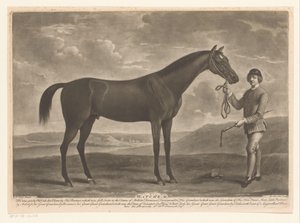 Racepaard met jockey (title on object) door Richard Houston