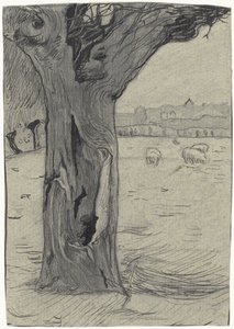 Knotwilg in een weidelandschap door Richard Nicolaüs Roland Holst