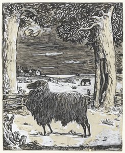 Schaap in een landschap met twee bomen door Richard Nicolaüs Roland Holst