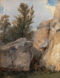 In het Bos bij Fontainebleau door Richard Parkes Bonington