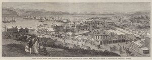 Deel van de stad en haven van Dunedin, de hoofdstad van Otago, Nieuw-Zeeland door Richard Principal Leitch