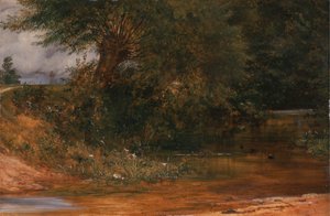 De schuilplaats van de waterhoen