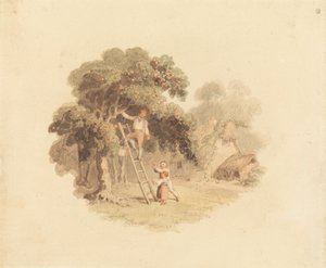 Een appelboom bij een huisje