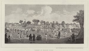 Cricket bij Moulsey Hurst