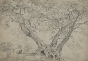 De Arbra Sacra aan de oevers van het Meer van Nemi, c.1754-56