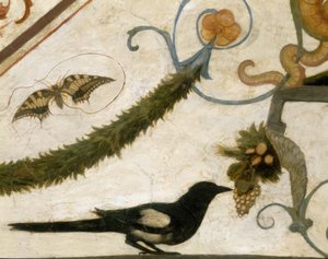 Groteske, vogel