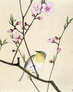 Vogel - Japanse tekening door Riou Chim, eind 19e eeuw door Riu Chim