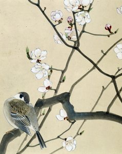 Vogel - Japanse tekening door Riou Chim, eind 19e eeuw door Riu Chim