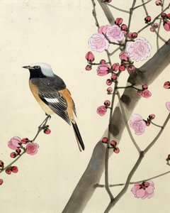 Vogel - Japanse tekening door Riou Chim, eind 19e eeuw