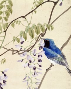 Vogel - Japanse tekening door Riou Chim, eind 19e eeuw door Riu Chim