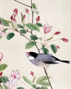 Vogel - Japanse tekening door Riou Chim, eind 19e eeuw door Riu Chim