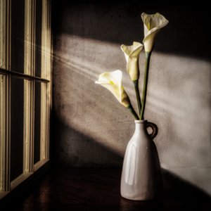 Calla-lelies Raamverlichting door Rob Ryan