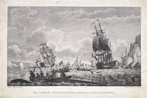 De Noordwest of Davis Straat Walvisvangst (prent) door Robert (after) Dodd
