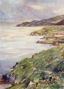 Een eenzame kust, Barmouth Estuarium (kleur litho) door Robert (after) Fowler