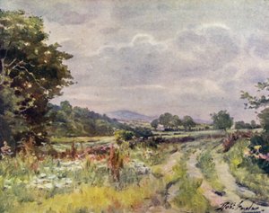 Landweg (kleur litho)