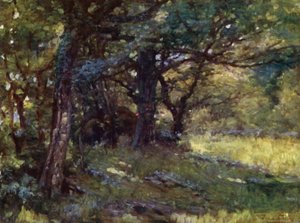 In het Bos, Berwyn