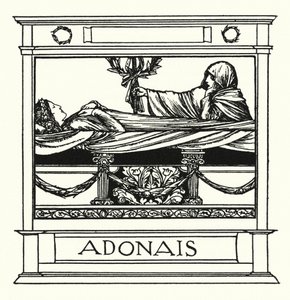 Shelley: Adonais