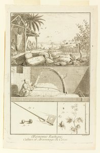 "Cultuur en Brand van Katoen" uit Diderot
