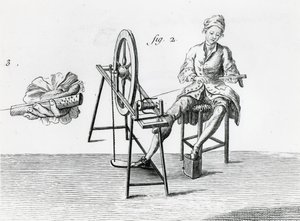 Rustieke economie, katoen, uit Encyclopedie door Denis Diderot door Robert Benard
