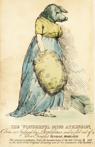 De Vrouw met het Varkensgezicht, beroemd in Londen circa 1815