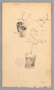 Tekening, Bloempotten, 1877