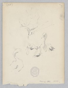 Eenden door Robert Frederick Blum