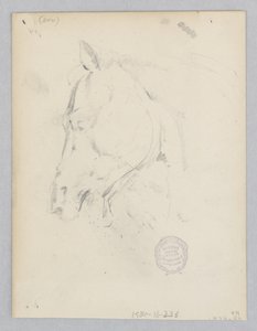 Paard door Robert Frederick Blum