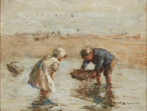 Jonge Vissers