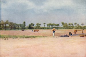 Esbet-El-Ekiad - Land van Gosen, ca. 1880, 1904