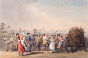 Rapen dorsen, 1 november 1813 door Robert Havell