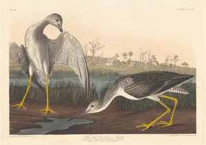 Vertellende Grutto, 1836 door Robert Havell