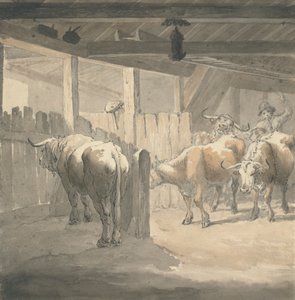 Een koeienstal