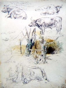 Studies van vee door Robert Hills