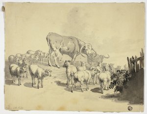 Koeien en schapen door Robert Hills