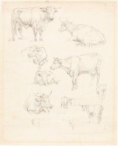 Studies van vee