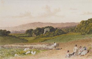 Het Koolveld