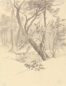 Het Bos