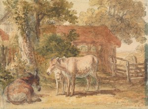 Drie ezels door Robert Hills