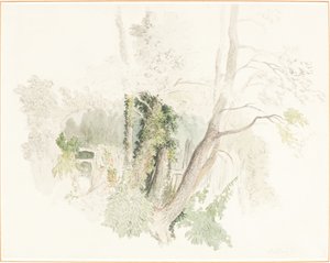 Bomen bij Beddington