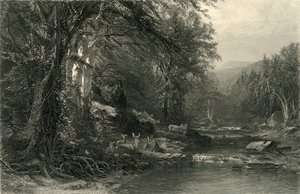 De Adirondack-bossen, 1874 door Robert Hinshelwood