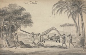 Reiziger in een palankijn in India