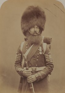 Kleur-Sergeant Macgregor, Schotse Fuselierswacht door Robert Howlett