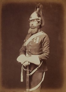 Sergeant-Majoor Bailey, 1st Royal Dragoon Guards door Robert Howlett