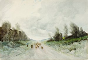 Een weg in Northumberland door Robert J. Hewitt