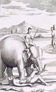 Een executie door een olifant