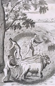 De manier van het uitstampen van hun rijst, uit Een Historische Relatie van het Eiland Ceylon, uitgegeven 1681 gravure