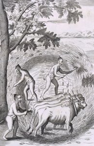 De Manier van Rijst Stampen