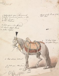 Schets van een Uitgebreid Opgetuigd Paard